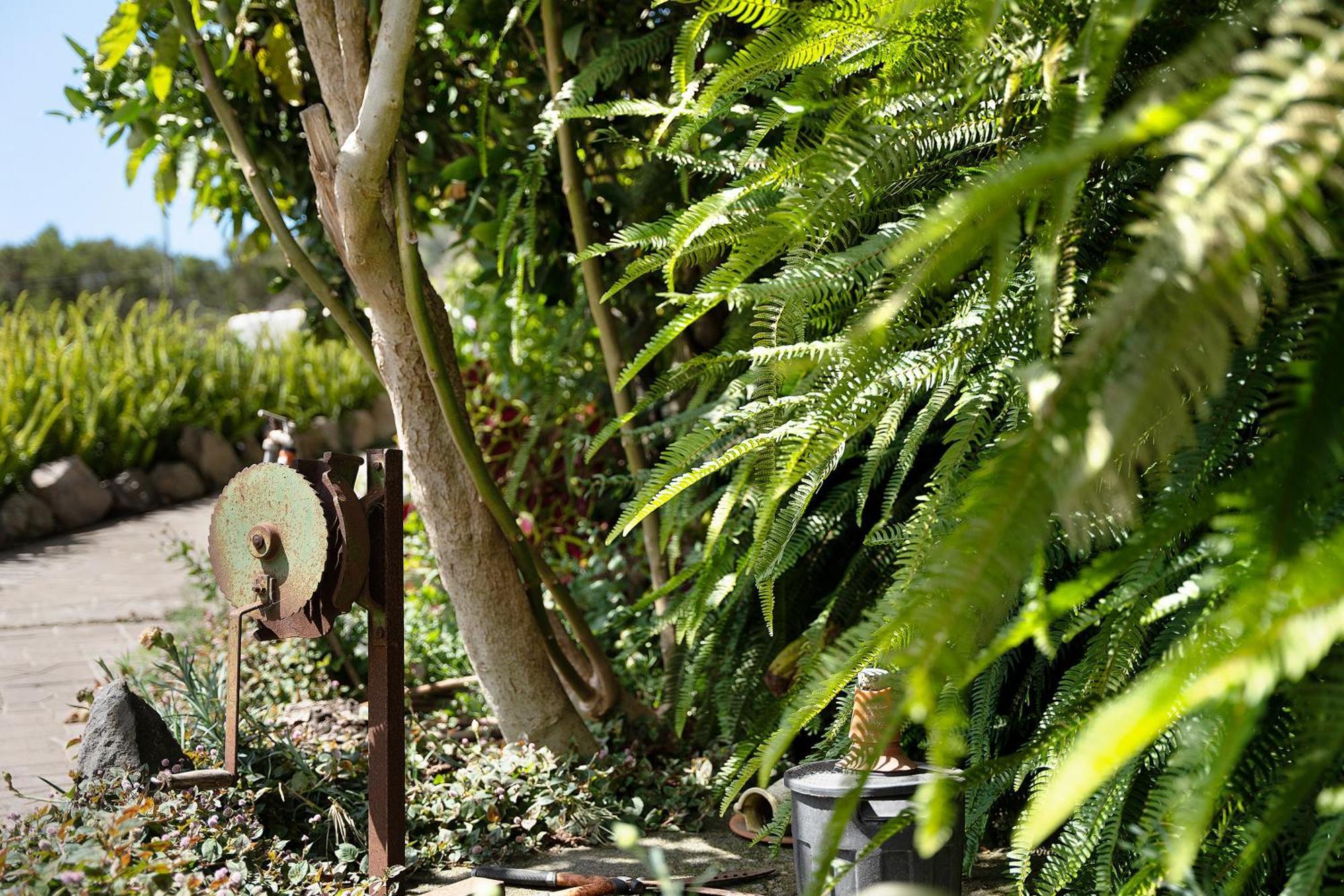 Casa Rural Medina 2 San Sebastián de la Gomera エクステリア 写真